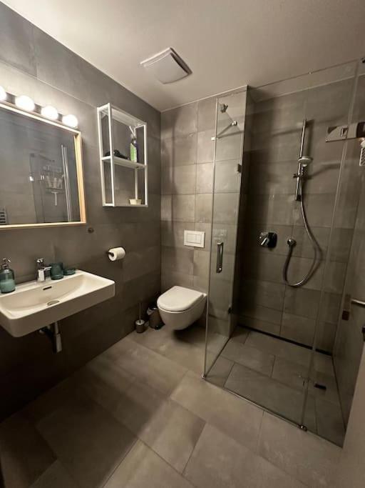 Horsky Apartman Achat Janov nad Nisou Exterior foto